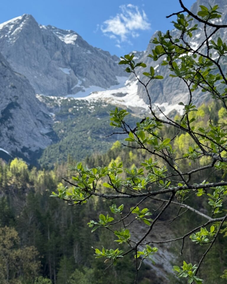 Instagram post from garberlalm. This post is in position 5.